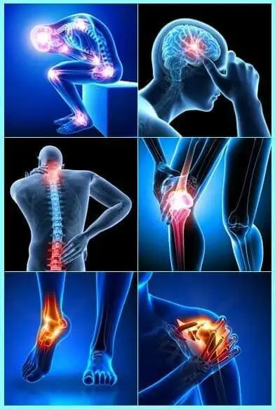 a6256aa11e6f41f5b3ff72967f036531 | Egypt Chiropractic Center | Egypt Chiropractic Center